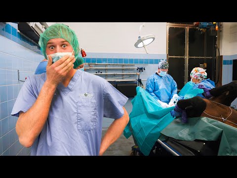 WIR müssen in den OP!