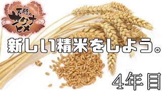 【天穂のサクナヒメ】Sakana action【その3】