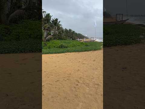 Dehiwala Beach, Colombo 6, Srilanka