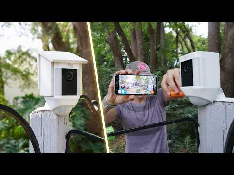 bird security camera