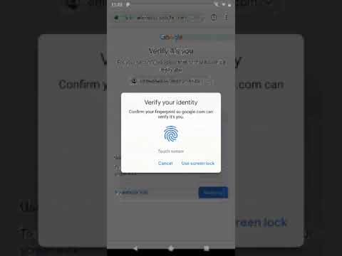 FIDO2-based local user verification for Google Accounts