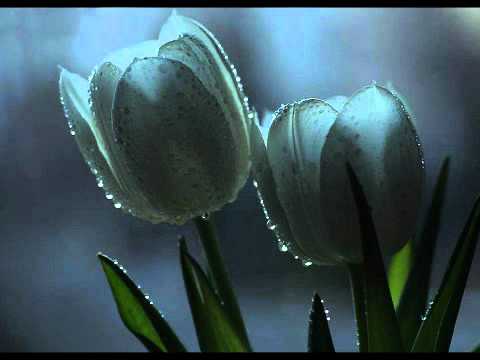 Grup Hacegan || Menzilde Sultanim