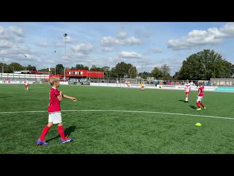 20240914 4 DOVO JO-12-1 - Valleivogels JO-12-1