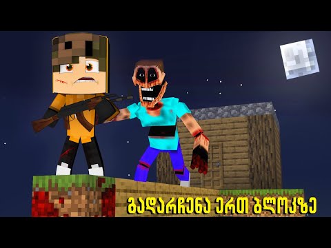 გადარჩენა საშიშ One Block - ზე | Minecraft One Block ეპიზოდი #1