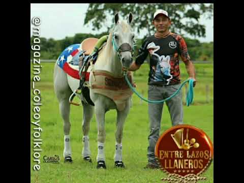 Ramón Blanco Jr., Cheo Hernández Prisco & Eduardo Alcalá - Los 3 en el Desafío