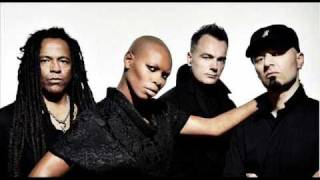 skunk anansie - over the love (2010)