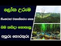 Sinharaja forest | සිංහරාජ වනාන්තරය ගැන ඔබ කසිදා නොඇසූ අ