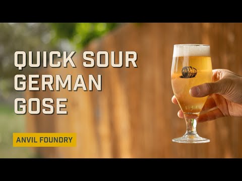 Brew a Quick Sour German Gose | Anvil Foundry 6.5 | EP 8