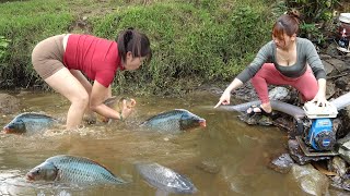 How To Catch Fish In The Wild, Two Young Girls Drain Water from the Wild Pond Catch a Lot of Fish