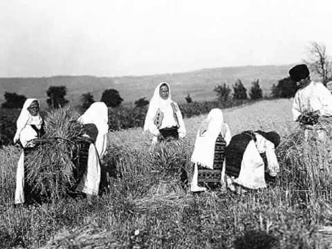 Au plecat olteni la coasă / They went away to scythe