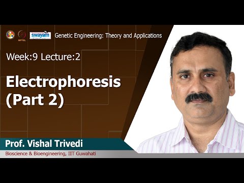 Genetic Engineering Theory and Application Intro Video