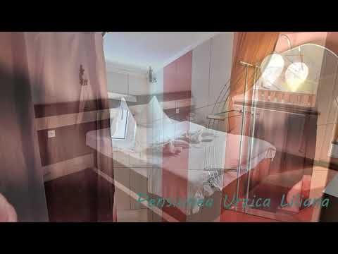 Pensiunea Urzica Liliana