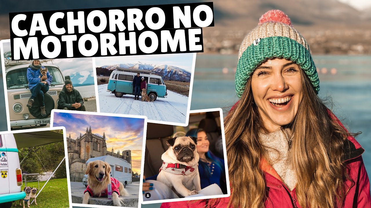COMO É VIAJAR DE MOTOHOME COM CACHORRO? Chamamos especialistas para responder