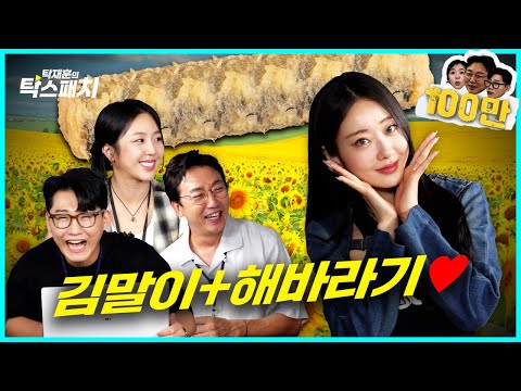 경리, 해바라기씨유에 김말이를 튀겨먹는 우리 회사에 있었으면 하는 최고의 경리ㅣ탁재훈 신규진 김예원의 탁스패치 EP.18