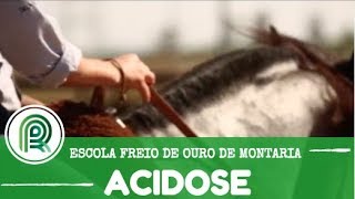Miniatura do vídeo