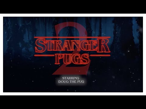 Stranger Pugs 2 - Doug The Pug