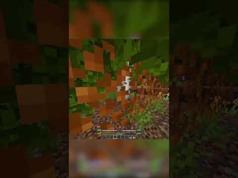 Insane Minecraft Deforestation - Max Wood Mods #Gyp