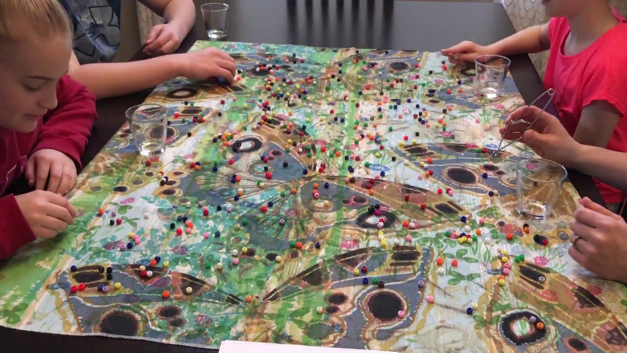 Finch Natural Selection Lab Simulation