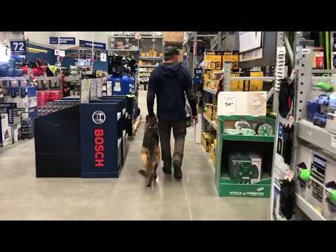 Complete Canine Training video.