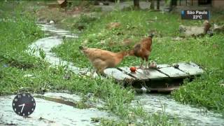 Miniatura do vídeo