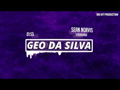 GeoDaSilva & Sean Norvis vs. Dan Spataru - Strengarul 2025 (official visualizer Retro Remix Party)
