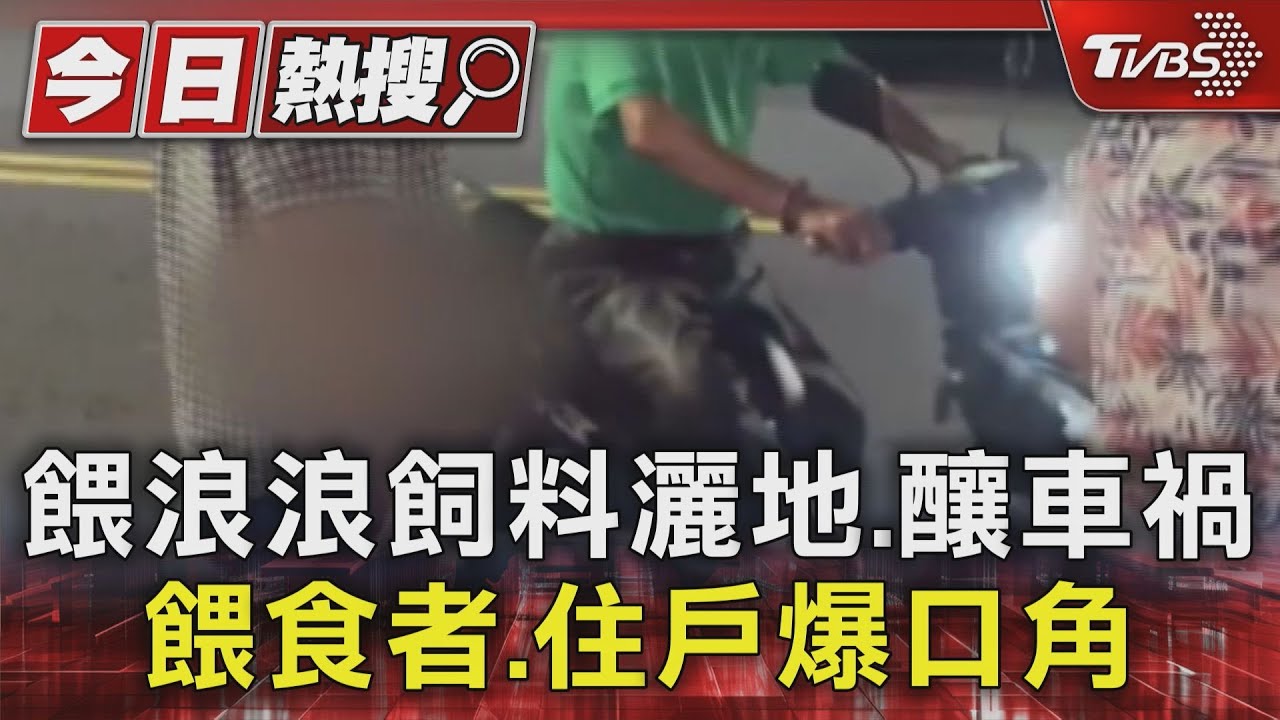 高雄女騎10分鐘車程餵浪浪 飼料灑地、釀車禍和住戶爆口角