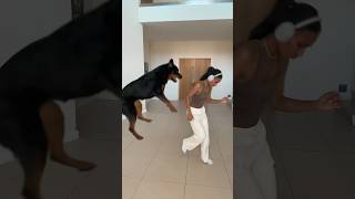 SOMEBODY’S WATCHING ME 👀 @nalatheneedyrottie #rottweiler