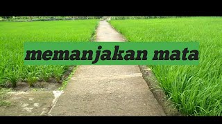 preview picture of video 'Keindahan alam Cianjur selatan'