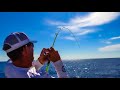 BIGGEST FISH on smallest rod!!! 900 feet deep!!! {Catch Clean Cook} Slow Pitch Jigging