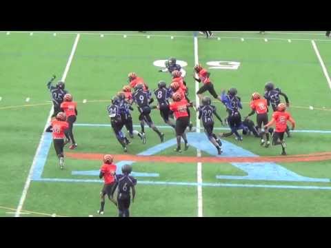 TwinSportsTV: SHOAL CREEK BENGALS 12U vs WELCOME ALL PANTHERS 12U
