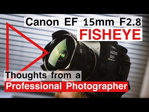 Video thumbnail for Video Review 2