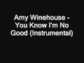 Amy Winehouse - You Know I'm No Good ...