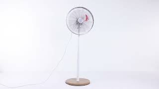 Miniatura vídeo YouTube 1