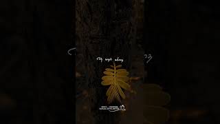 Download lagu neethana neethana song whatsapp status tamil #love #lovemelody #tamilsongwhatsappstatus mp3