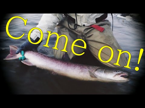 Sarufutsu River! Ito fishing without getting lost even for the first time Part 2 Food, clothing a...