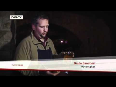 Franciacorta sparkling wine | Video of the day