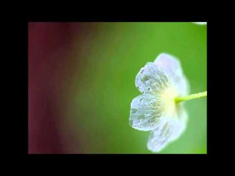 150410(금) 푸른밤 종현입니다 : "푸른밤 작사 그 남자 작곡3" 종현 - 산하엽 (&청취자사연)