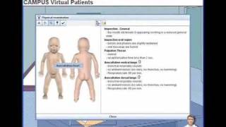 eViP medical students talk about VPs