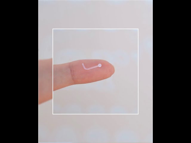 Vídeo relacionado con MixPiercing 30Pz Piercing Nariz Transparente Trabajo, Invisible Bioflex Silicon Retenedor para Quirofano, Forma de L Punta Plana y Aro 0,8mm