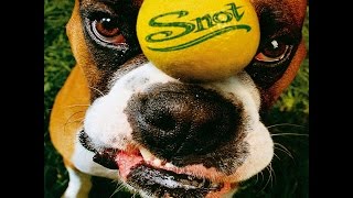 Snot - Stoopid [Live]