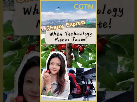 Cherry Express: When technology meets taste!