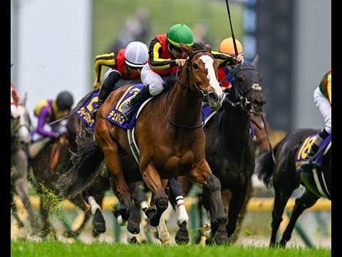 Yushun Himba (Japanese Oaks) G1 - 2024