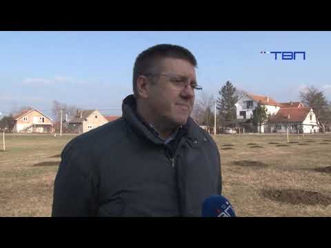 TV Pančevo - Nova velika akcija sadnje drveća u subotu 25. januara kod Hrama Svetog Save na Misi