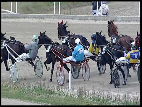 Napoli Trotto 02/12/2022 - 1ª corsa