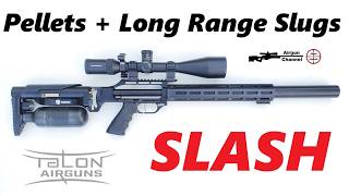 Taipan SLASH (Semi-Auto) PCP Rifle Review (Best .22 Pellets + Slugs Long Range Accuracy Test)