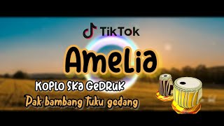 Download lagu Amelia Koplo Gedruk Kendang Pallapa Viral Tiktok 2... mp3