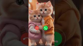 Download lagu Mi telephone ringtone #calling #calls #ringtone #cats mp3