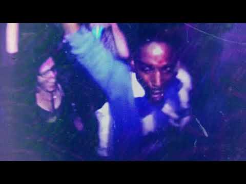 The Kodaks - The Jungle (Official Video)