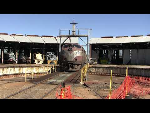 El Zorro grain train action. Junee 4836 852 C501 GM36. 29 March 2012.