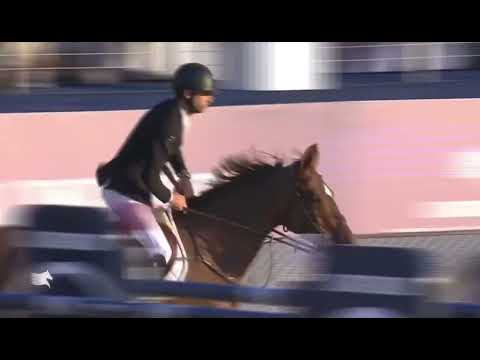 Pieter Devos - Mom’s Toupie de la Roque (20/08/2022) - Londres (GP/GCT - 1.60m - JO)